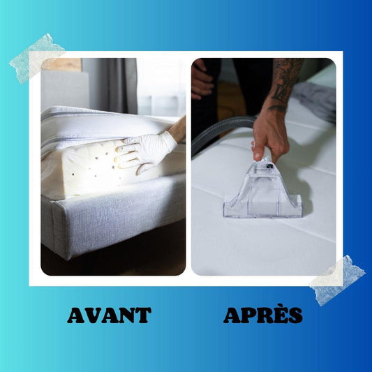 Combattez les Punaises de lit : L’Arme Secrète de la Shampouineuse Dustgo