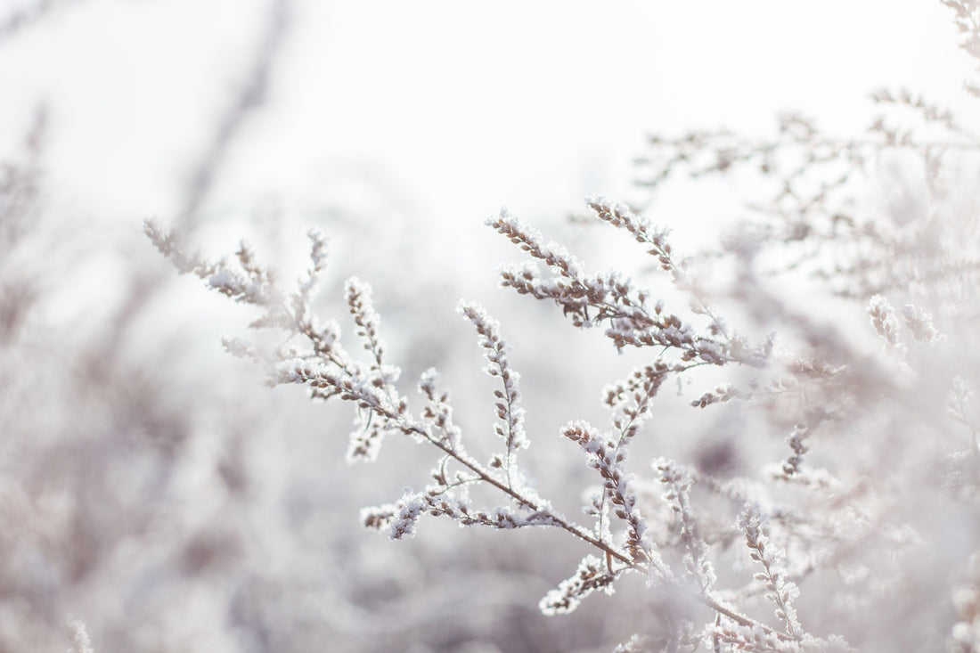 Préparez votre Maison pour l'Hiver : L'Importance du Nettoyage en Profondeur