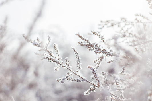 Préparez votre Maison pour l'Hiver : L'Importance du Nettoyage en Profondeur