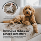 Shampouineuse Dustgo Ultra 2 + Détergents Offerts