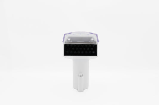 Petite Brosse