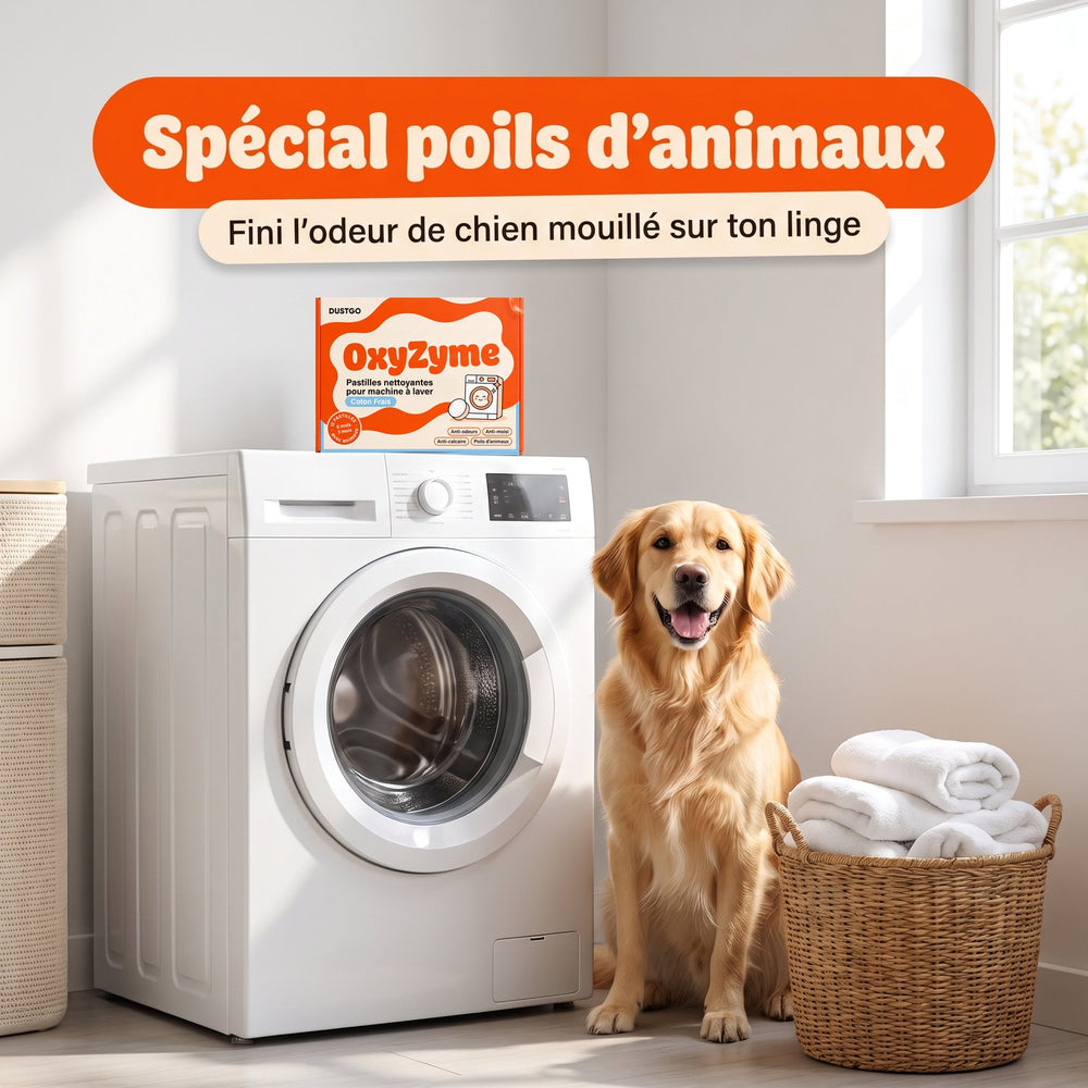 Spécial poils d'animaux : fini l'odeur de chien mouillé sur ton linge